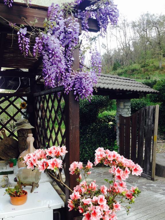 伊尔吉罗住宿加早餐旅馆 日科德尔格尔福迪艾斯 外观 照片