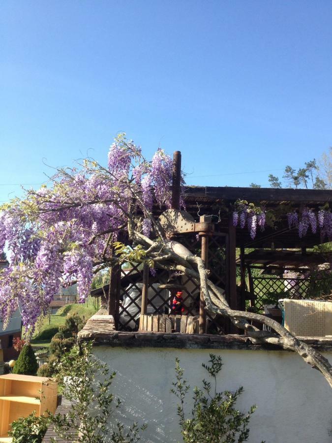 伊尔吉罗住宿加早餐旅馆 日科德尔格尔福迪艾斯 外观 照片