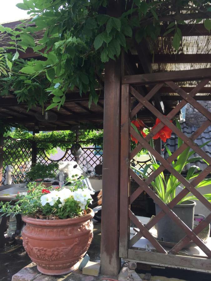 伊尔吉罗住宿加早餐旅馆 日科德尔格尔福迪艾斯 外观 照片