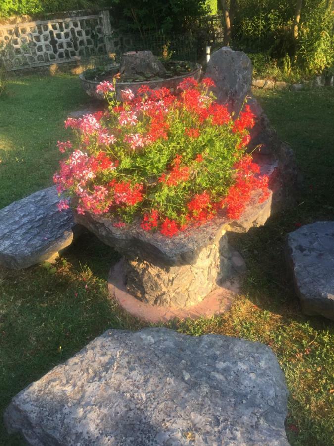 伊尔吉罗住宿加早餐旅馆 日科德尔格尔福迪艾斯 外观 照片